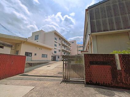横浜市立市ケ尾小学校 650m(徒歩9分)