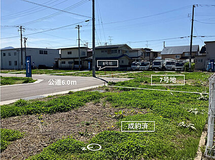 現地写真