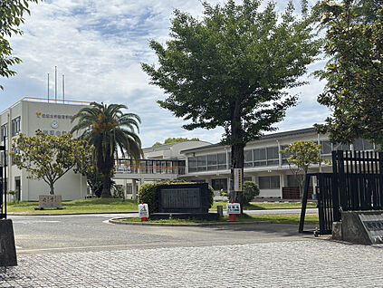 愛媛大学教育学部附属小学校 現地から200m。(徒歩3分。(最長))