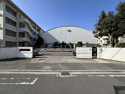 松山市立石井小学校 現地から1000m。(徒歩13分。(最長))