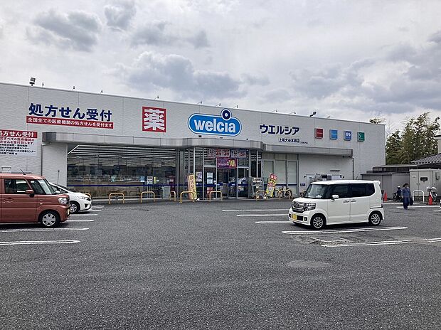 ウエルシア上尾大谷本郷店