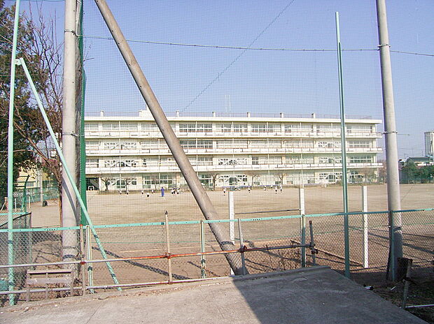新座市立野寺小学校