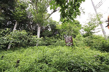 金山森の広場 約453m