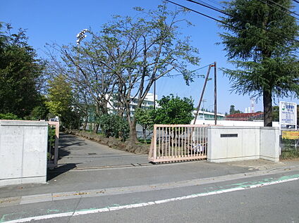 第三中学校 約1100m