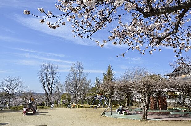 真弓中央公園(約480m)