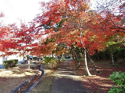 鳥谷公園 2806ｍ(車11分)