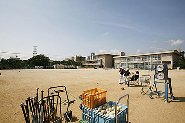 姫路市立城陽小学校