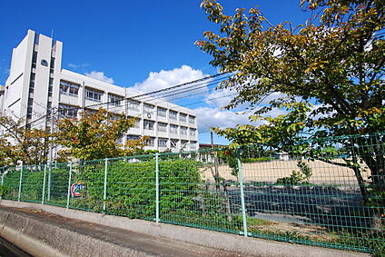 姫路市立大津茂小学校 約1100m(徒歩約14分)
