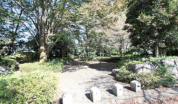 ほたる公園 約700m~730m