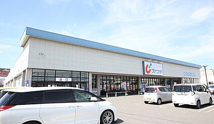カワチ薬品 おもちゃのまち東店 800m ～980ｍ(徒歩10分)