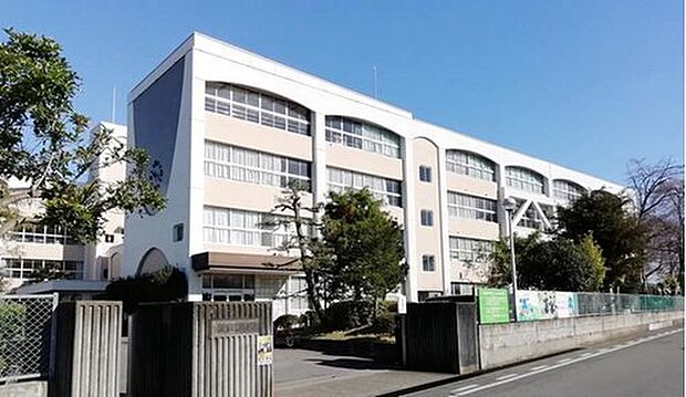 若松原中学校(約500m)