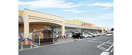 とりせん　細谷店 1130m(徒歩15分)