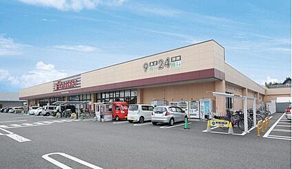 とりせん　細谷店 1040m(徒歩13分)