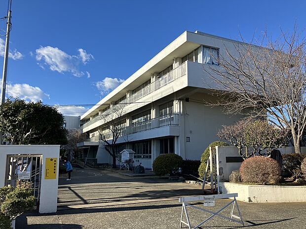 大根小学校(約700m)