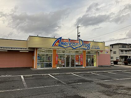 アメリカンドラック オワリベ店 約308ｍ(徒歩約4分)
