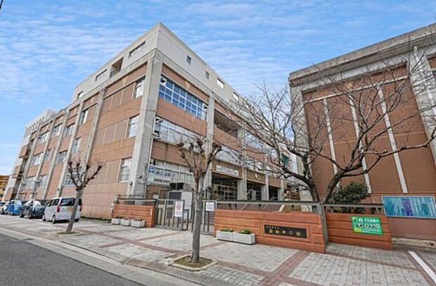 北九州市立若松中学校（約990m）
