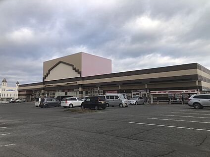 マックスバリュ空港通り店 250ｍ(徒歩約4分)