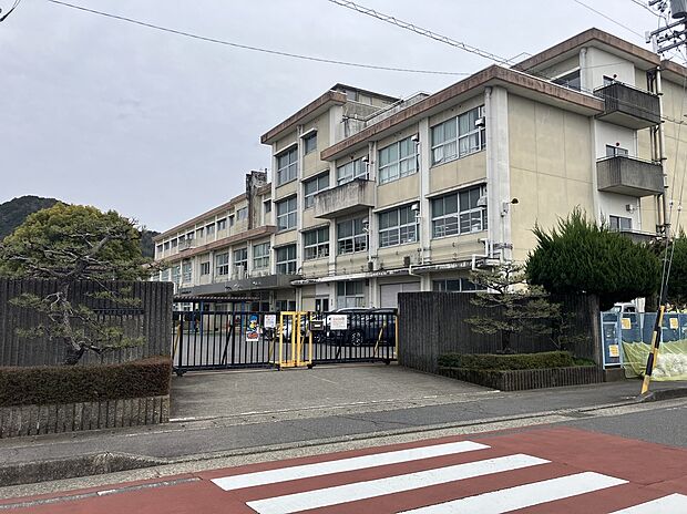 岩野田北小学校(約900m)