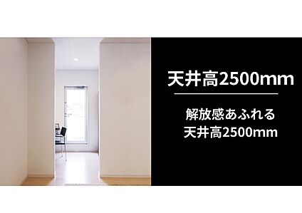 天井2500ｍｍ