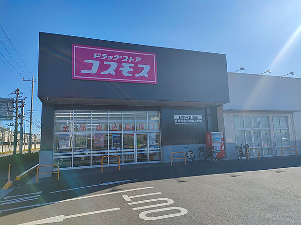 ドラックストアコスモス(約250m)