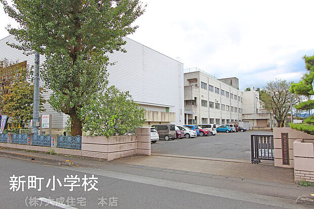 鶴ヶ島市立新町小学校(約950m)