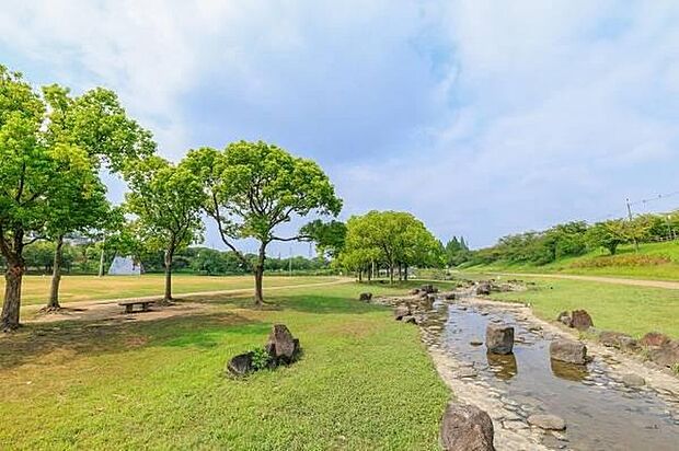打上川治水緑地 徒歩9分(約760m)
地域との融和を目指して整備された5つの公園があり、豊かな緑に囲まれながら、身近に自然を感じられる環境です。