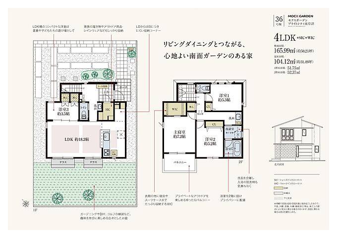 36号棟
