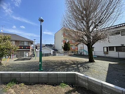 現地写真(5)