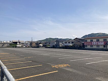 現地写真