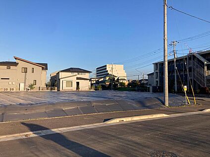 西側から敷地全体を見る