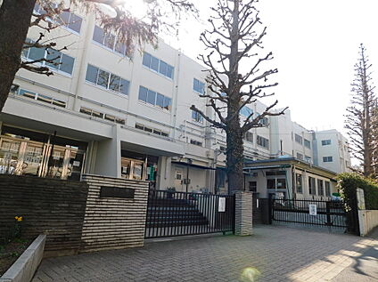 練馬区立石神井中学校 約400m(徒歩5分)