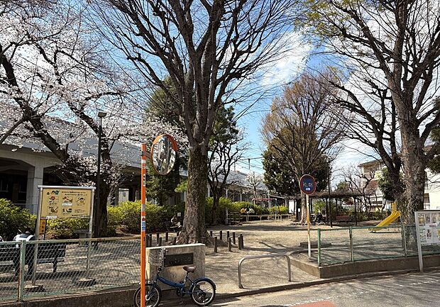 練馬区立こぶし公園