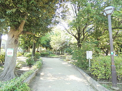 杉並区立妙正寺公園 約290m(徒歩4分)