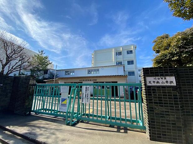 川口市立芝中央小学校(約260m)