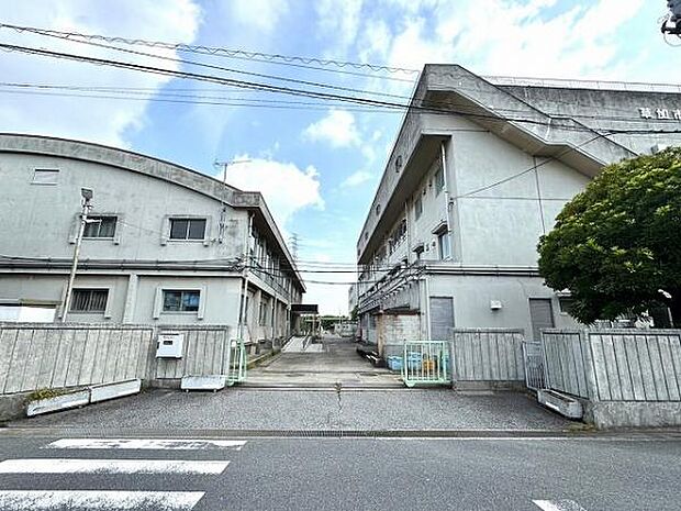 草加市立両新田小学校（約240m）