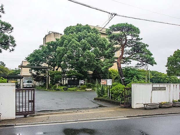南中学校(約650m)