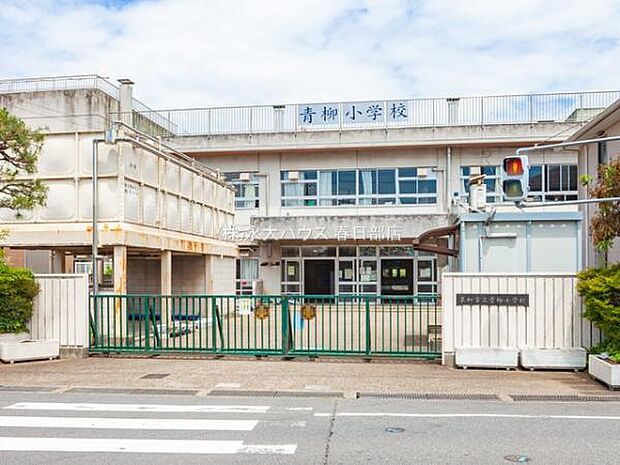 草加市立青柳小学校（約700m）