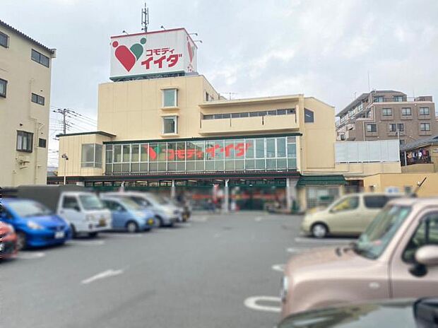 コモディイイダ鳩ヶ谷店(約250m)