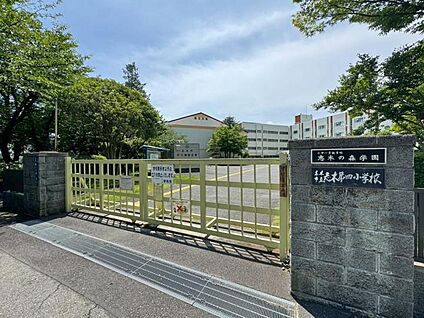 志木第四小学校 230m(徒歩3分)