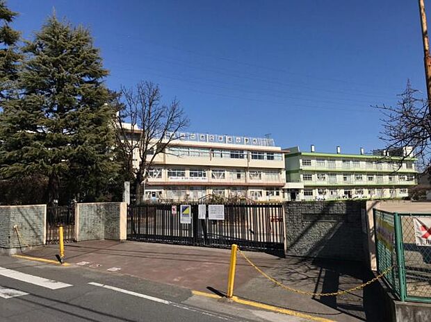 川口市立新郷小学校（約700m）