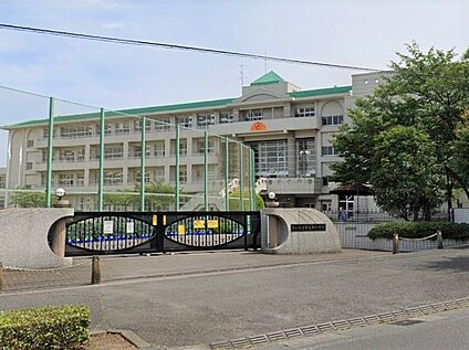 向小学校 800m(徒歩10分)