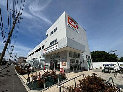 オーケー新座野火止店 800m(徒歩10分)