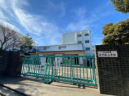 川口市立芝中央小学校 650m(-)