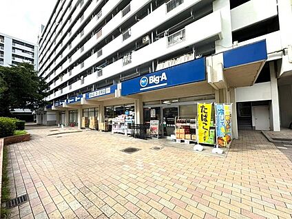 ビッグ・エー朝霞膝折団地店 230ｍm(徒歩3分)