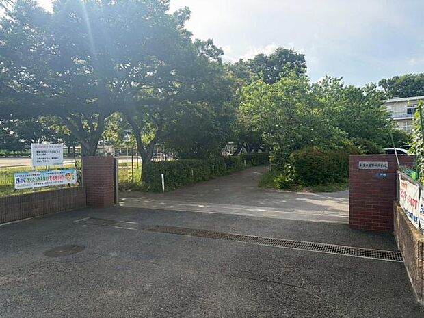 和光市立第四小学校(約800m)