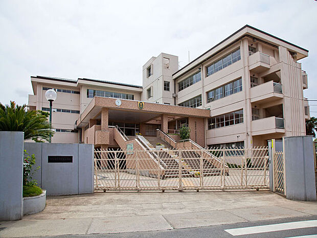 越谷市立大袋東小学校(約800m)