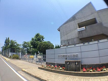 川口市立辻小学校 800m(-)