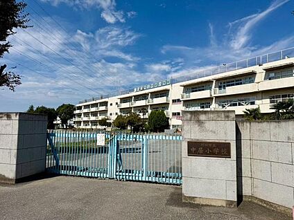 川口市立中居小学校 600m(-)