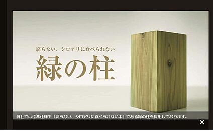 緑の柱