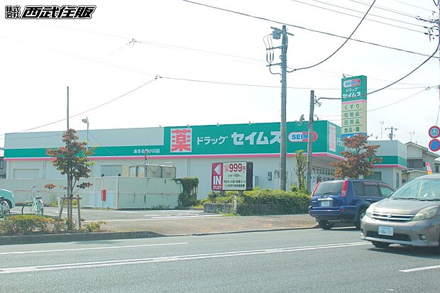 セイムスあきる野小川店(約804m・徒歩11分)